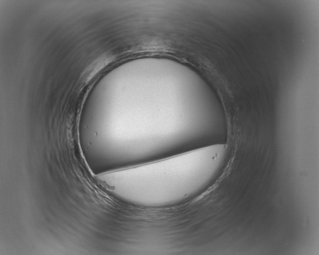 X0000077381162200610201033
