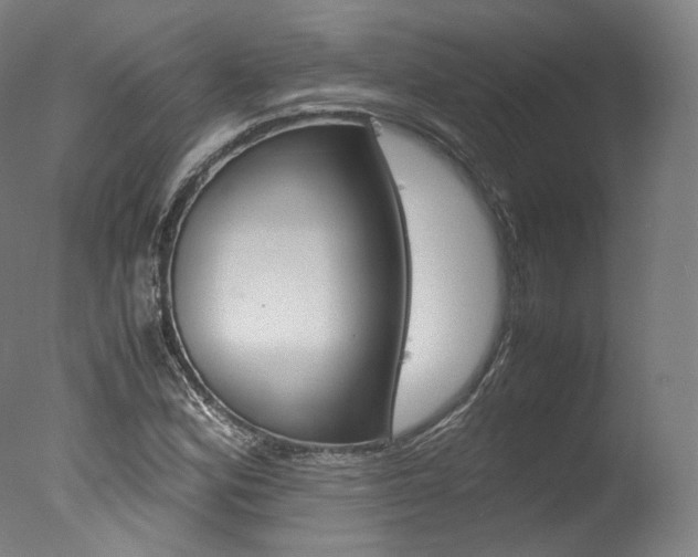 X0000077381164200610201033