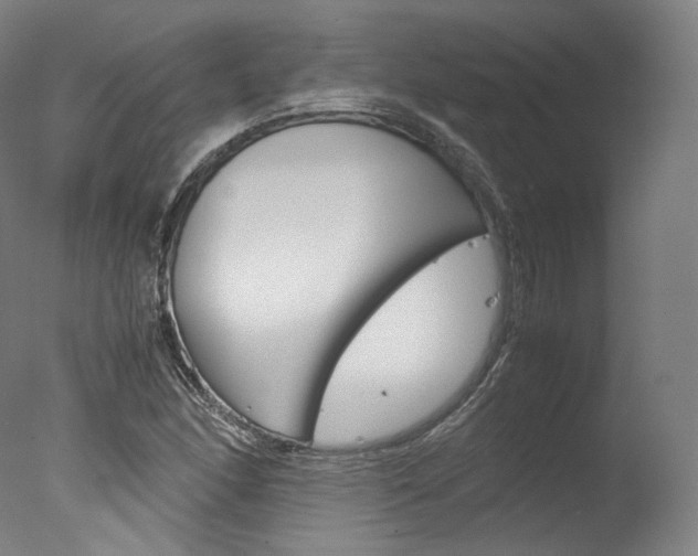 X0000077381166200610201032