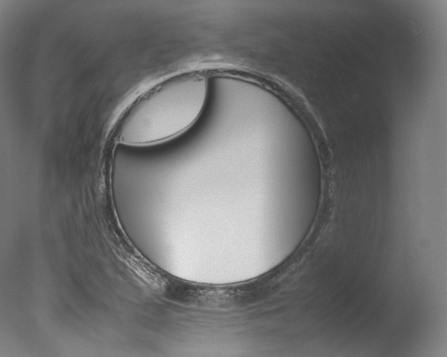 X0000077381167200610201032