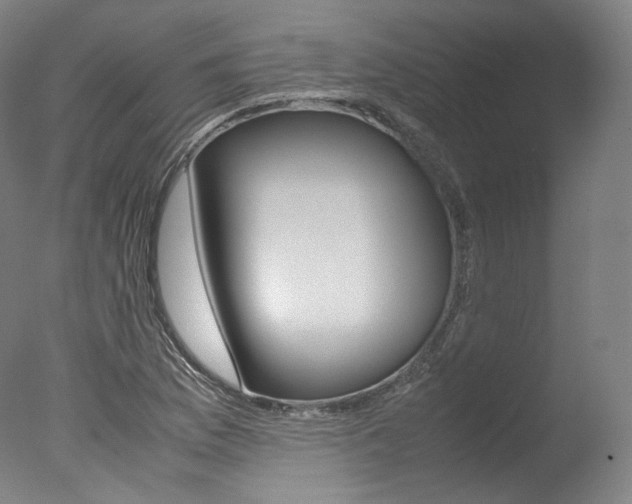 X0000077381169200610201032