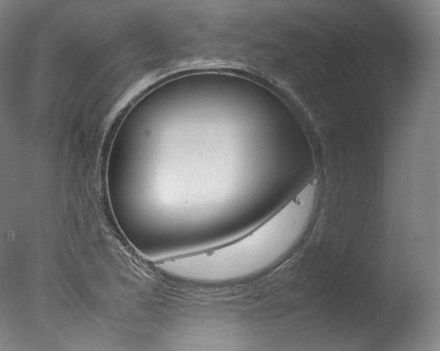 X0000077381173200610201032