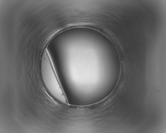 X0000077381177200610201032