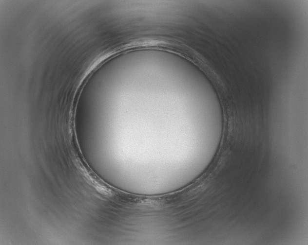 X0000077381178200610201032