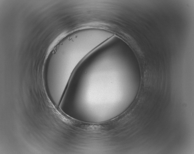 X0000077381180200610201032