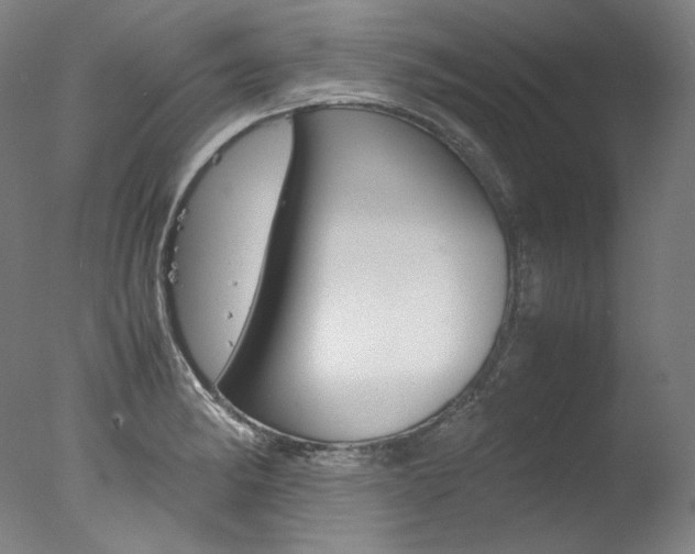 X0000077381182200610201032