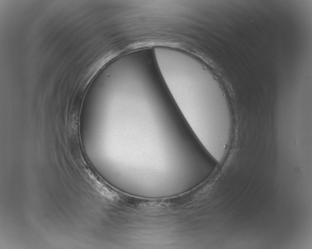 X0000077381185200610201032