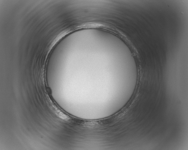 X0000077381186200610201032