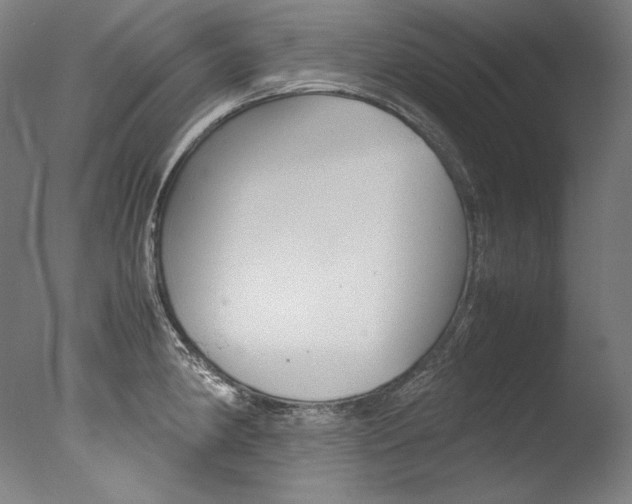 X0000077381190200610201032
