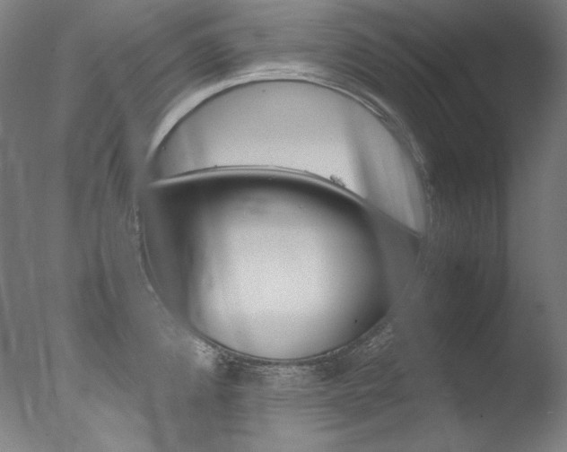 X0000077381192200610201032