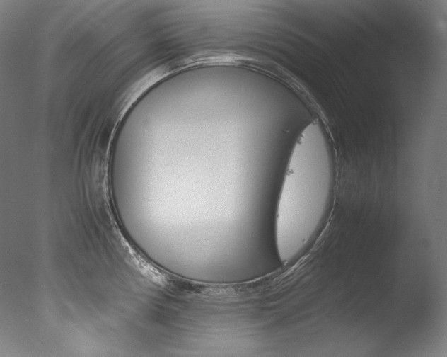 X0000077381194200610201032