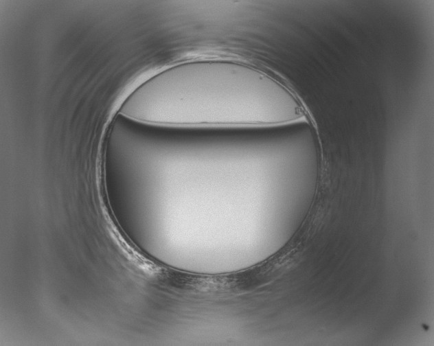 X0000077381195200610201032