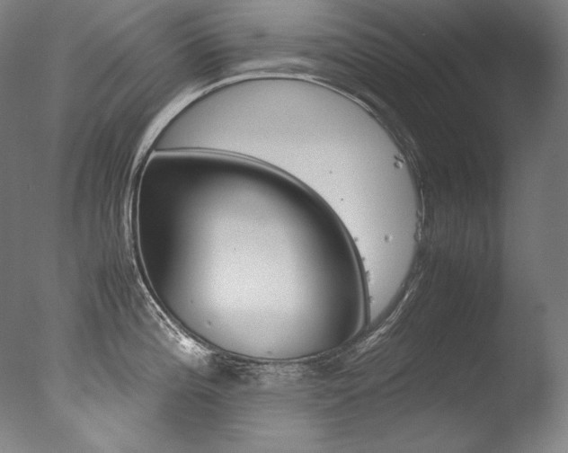 X0000077381196200610201032