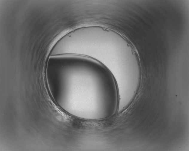 X0000077381197200610201032