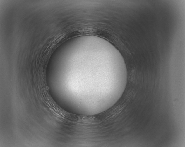 X0000077381201200610201031