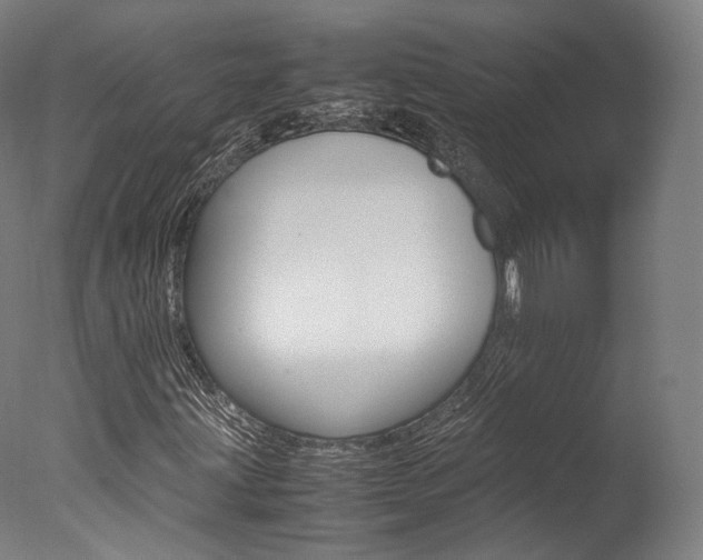 X0000077381203200610201031