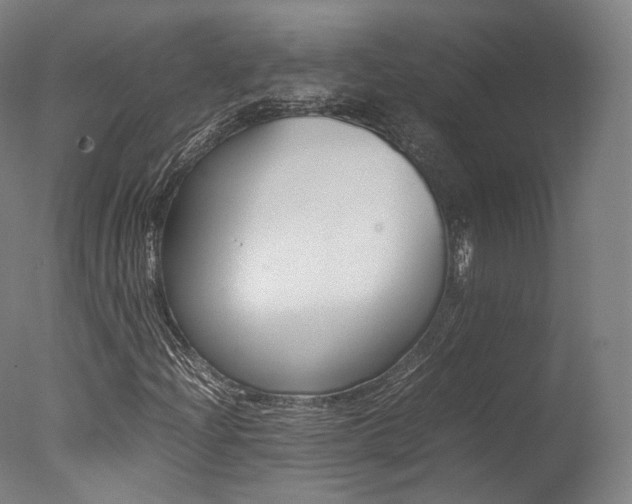 X0000077381204200610201031