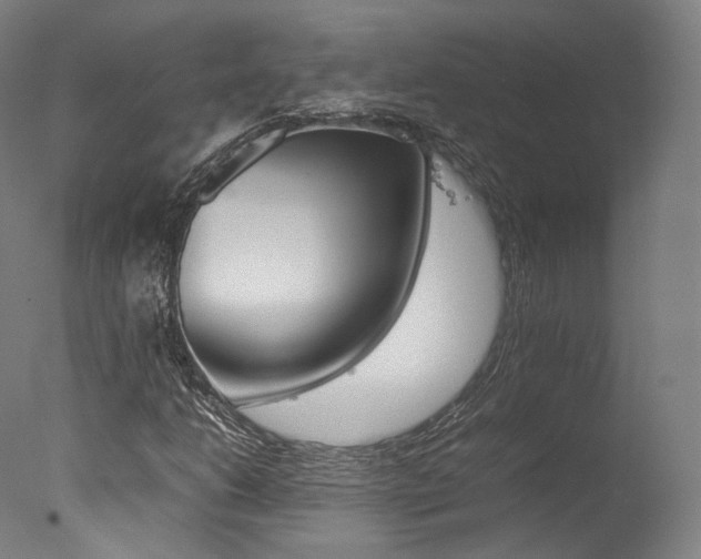 X0000077381206200610201031