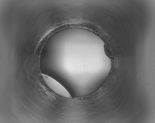 X0000077381208200610201031