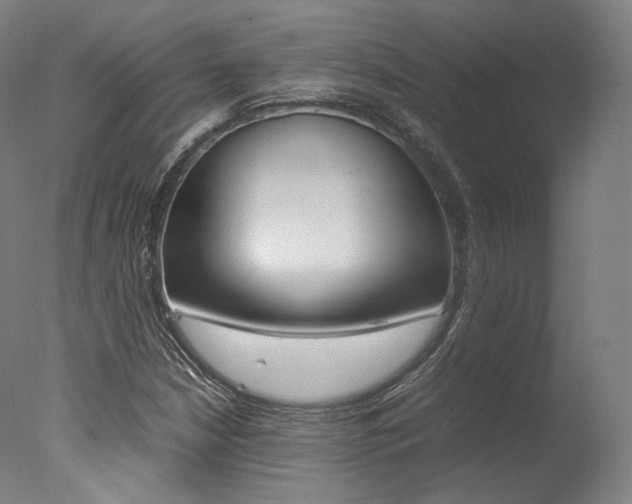 X0000077381210200610201031