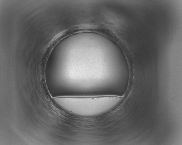 X0000077381213200610201031