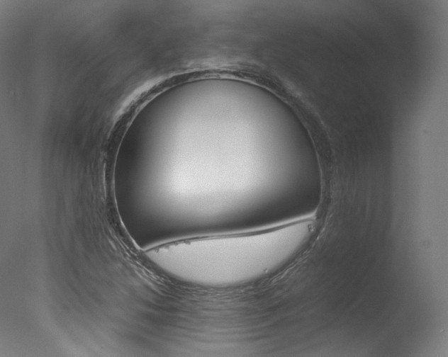 X0000077381214200610201031