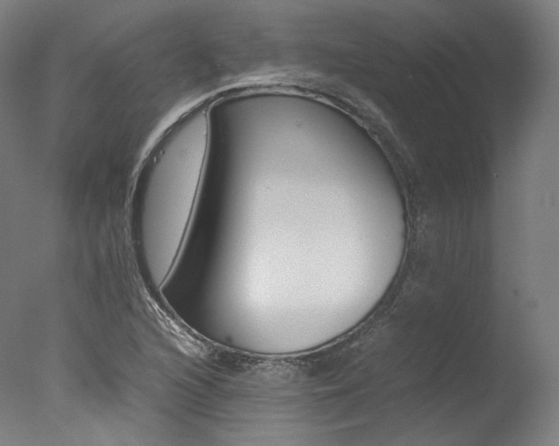 X0000077381216200610201031
