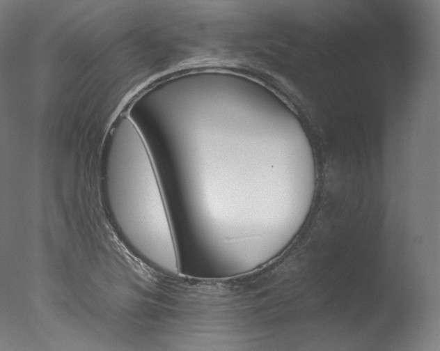 X0000077381220200610201031