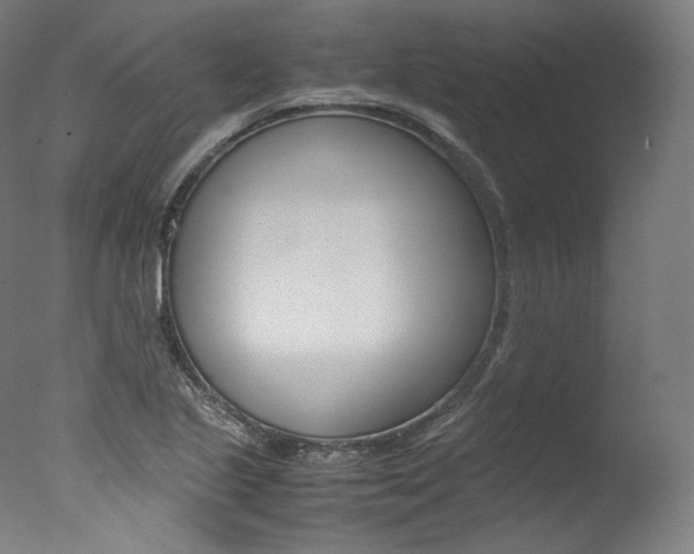 X0000077381221200610201031