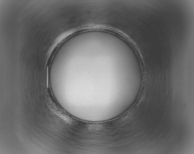 X0000077381223200610201031