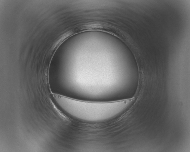 X0000077381225200610201032