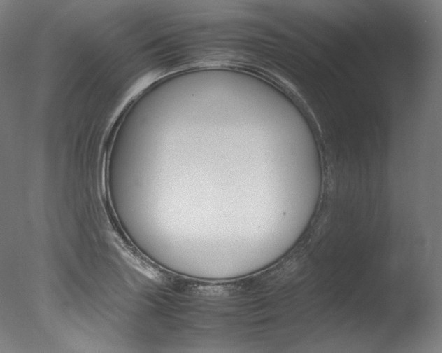X0000077381227200610201032
