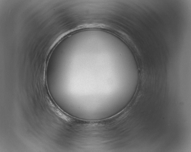 X0000077381228200610201032