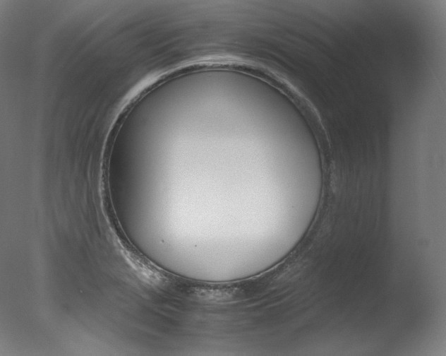 X0000077381229200610201032