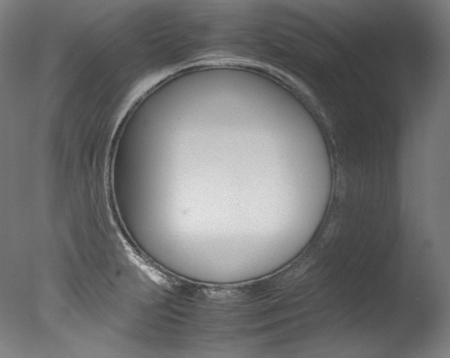 X0000077381231200610201032