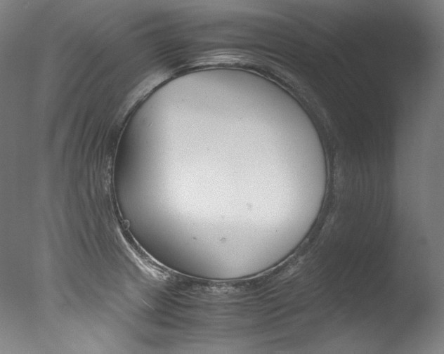 X0000077381233200610201032