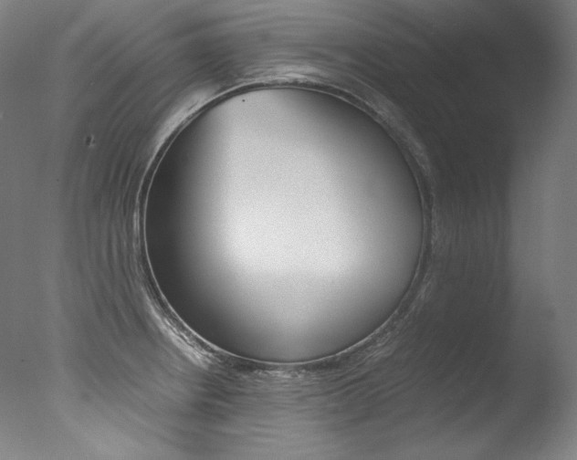 X0000077381234200610201032