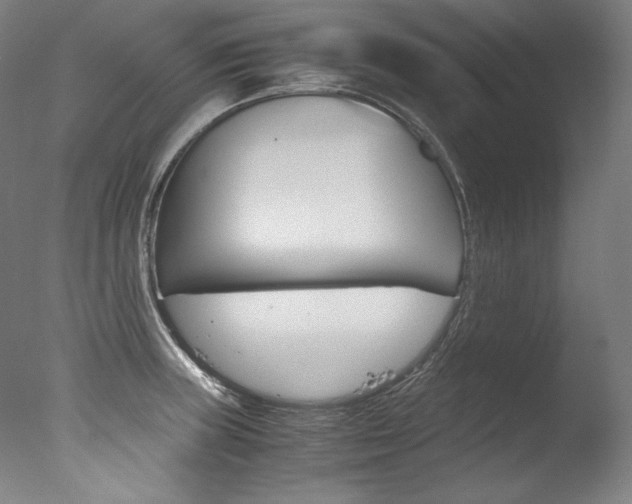 X0000077381235200610201032
