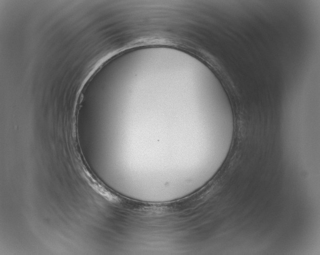 X0000077381236200610201032