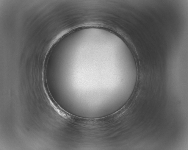X0000077381237200610201032
