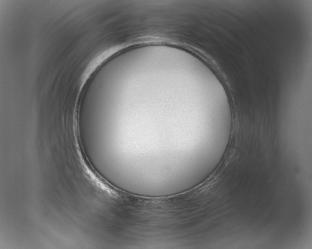 X0000077381239200610201032