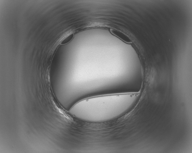 X0000077381241200610201032
