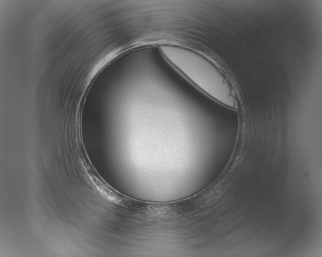 X0000077381242200610201032