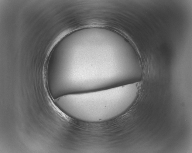 X0000077381243200610201032