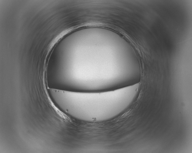X0000077381245200610201032