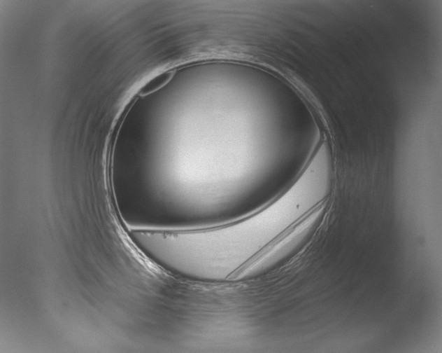 X0000077381246200610201032