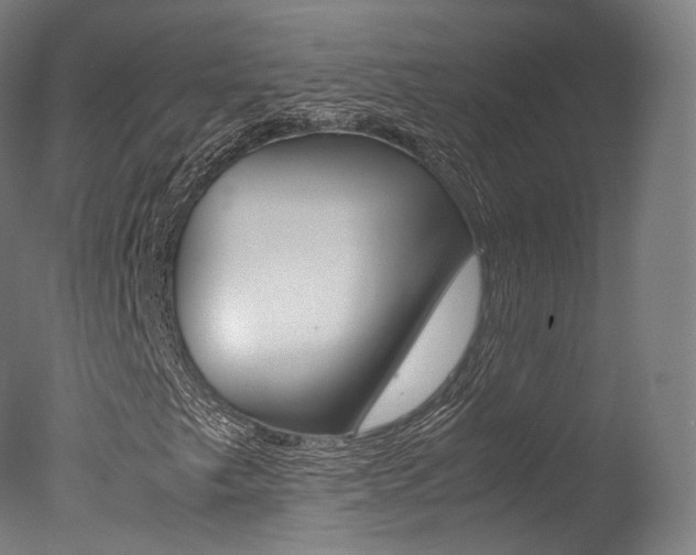 X0000077381249200610201031