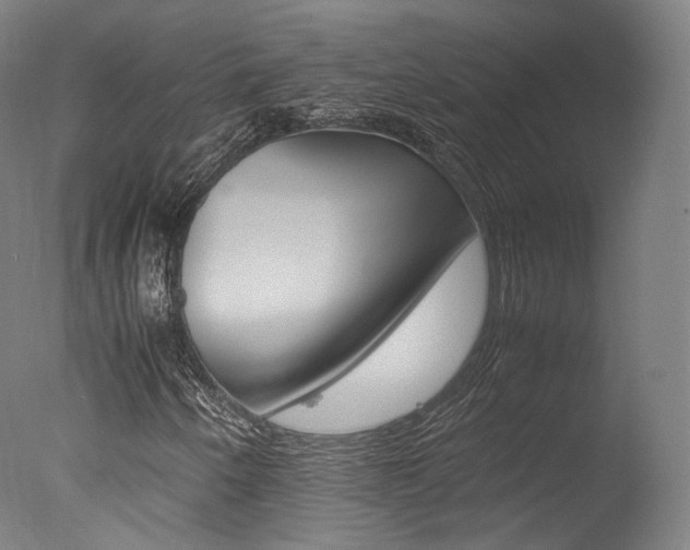 X0000077381250200610201031