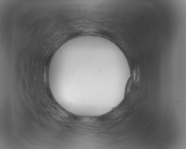 X0000077381251200610201031