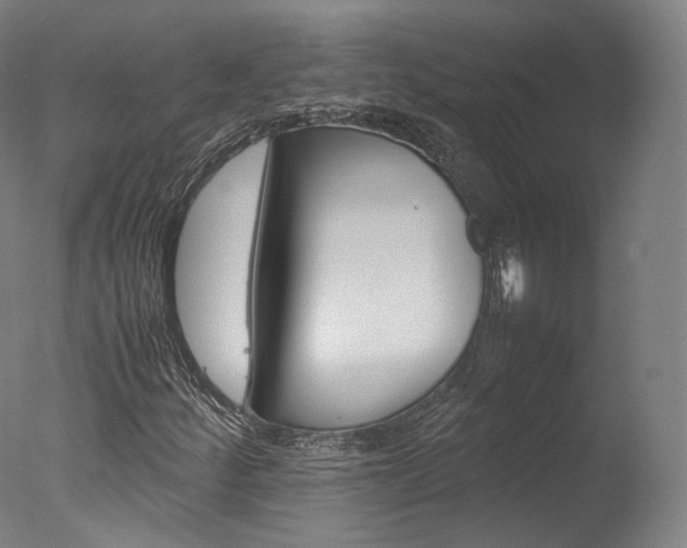X0000077381252200610201031